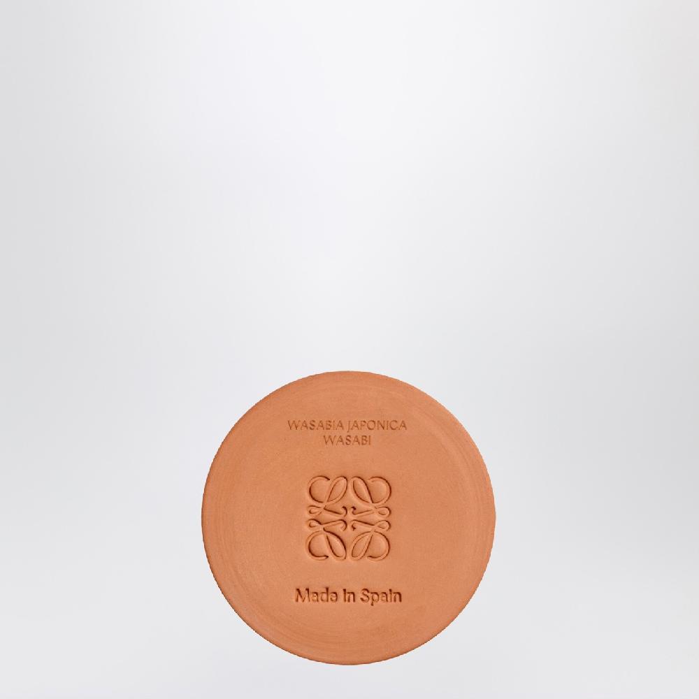 Loewe Candela Wasabi piccola gialla Sconto