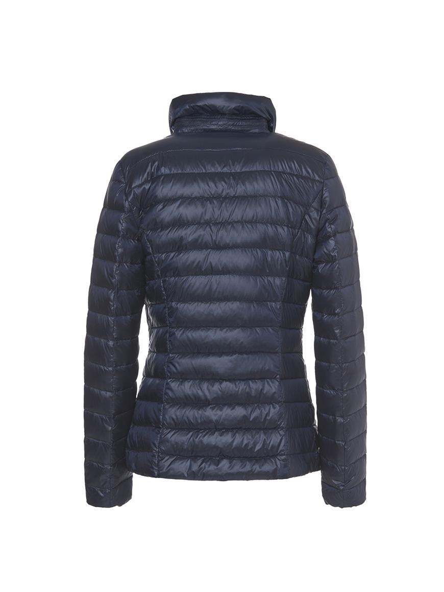 Violanti 100% NY - VL219 Shopping Online
