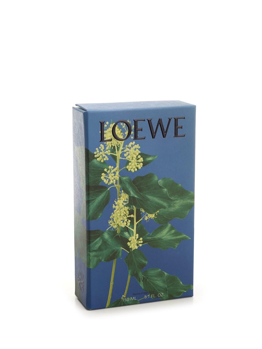 Al Duca D'Aosta Loewe Home Scents Fragranza ambienti edera Offerta