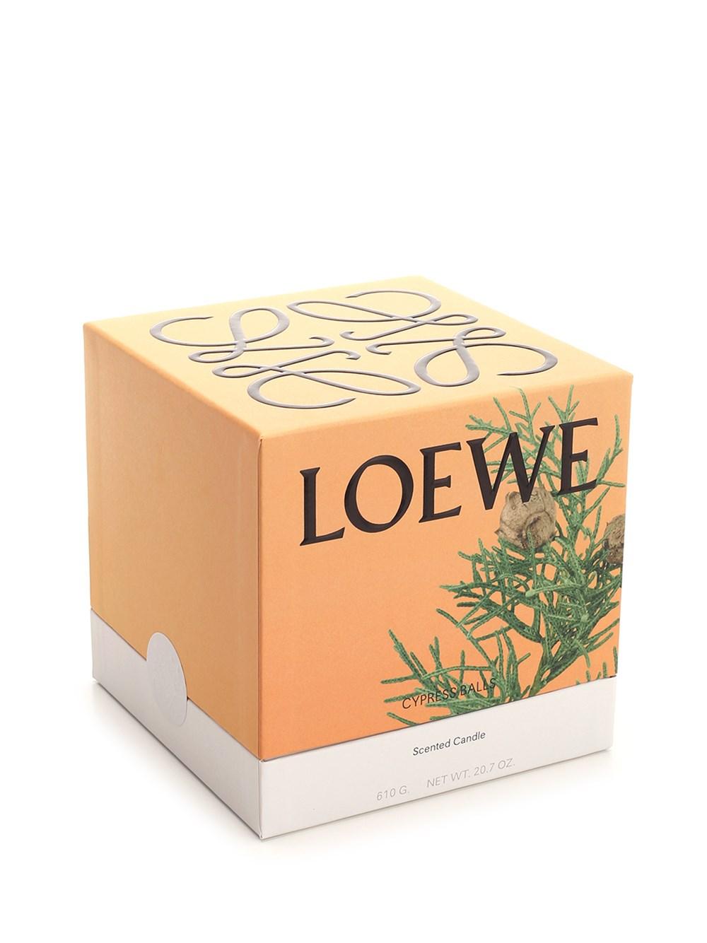 Al Duca D'Aosta Loewe Home Scents Candela M essenza bacche di cipresso Outlet